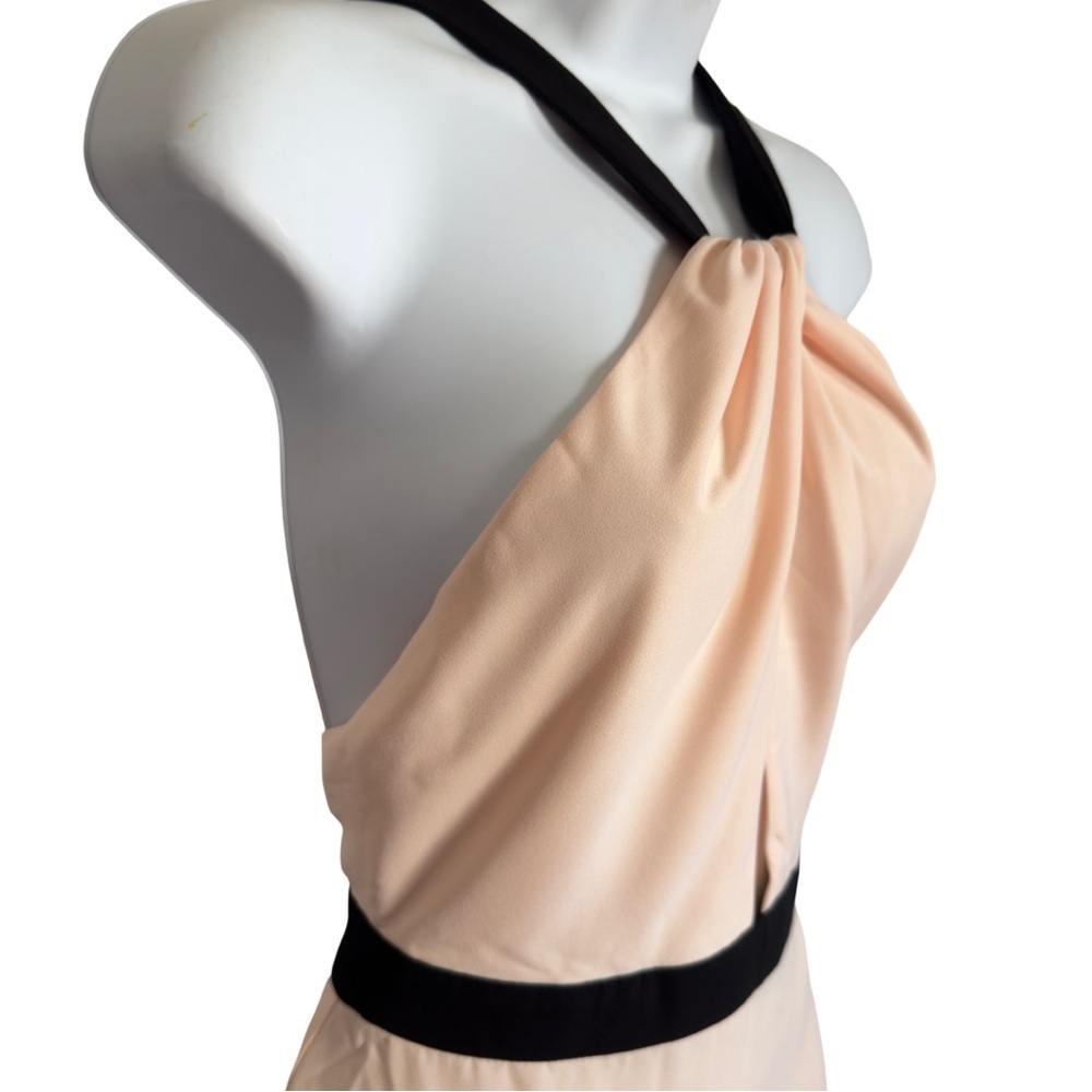 Jill Stuart Cream Blush and Black Halter Maxi Gown Size 4 - Picture 5 of 9